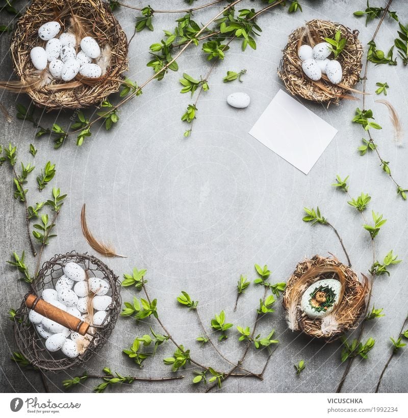 Ostern Hintergrund Rahmen Süßwaren Stil Design Dekoration & Verzierung Feste & Feiern Blumenstrauß Zeichen Ornament grün weiß Tradition Hintergrundbild Nest