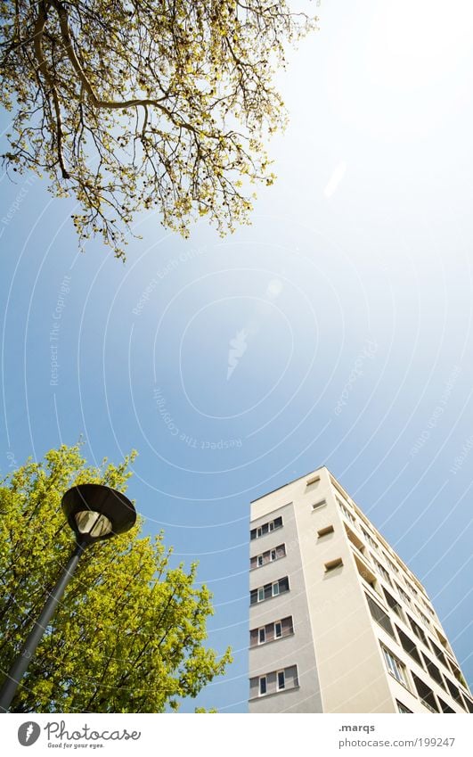 Wohnheim Lifestyle Sommer Schönes Wetter Baum Sträucher Hochhaus Gebäude Architektur Laterne hell Stadt Perspektive Straßenbeleuchtung Immobilienmarkt Farbfoto