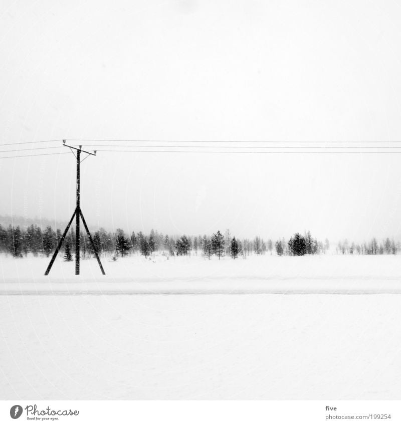 finnischer strommasten Ferien & Urlaub & Reisen Ausflug Ferne Freiheit Winter Schnee Winterurlaub Umwelt Natur Himmel Wolken Pflanze Baum Sträucher Wiese Feld