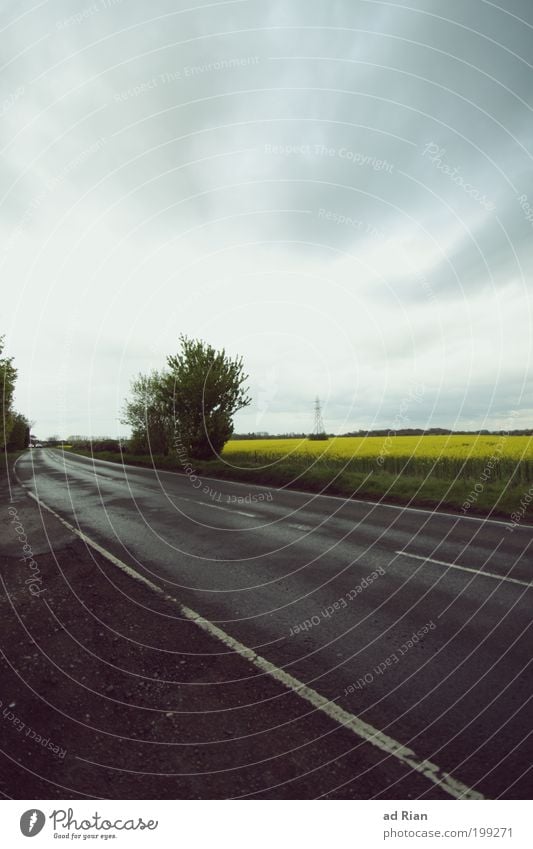 300 M.P.H Natur Himmel schlechtes Wetter Unwetter Sträucher Raps Rapsfeld Feld Straßenverkehr Autofahren Lebensraum Fahrzeug Bewegung Ferne Unendlichkeit