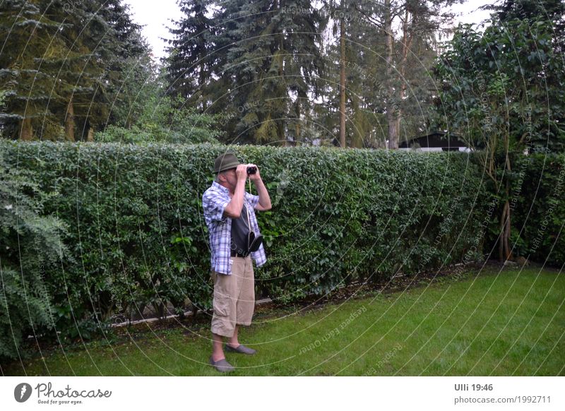 Spanner. Jagd Sommer Mann Erwachsene 1 Mensch 60 und älter Senior Schönes Wetter Hecke Garten Hut Fernglas beobachten Blick stehen listig Neugier grün Ausdauer