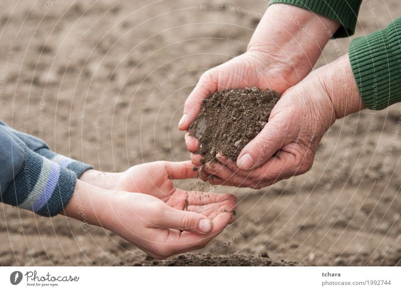 Rette die Natur Leben Garten Kind Gartenarbeit Mensch Frau Erwachsene Hand Umwelt Pflanze Erde Wachstum dreckig natürlich braun Hintergrund organisch Ackerbau