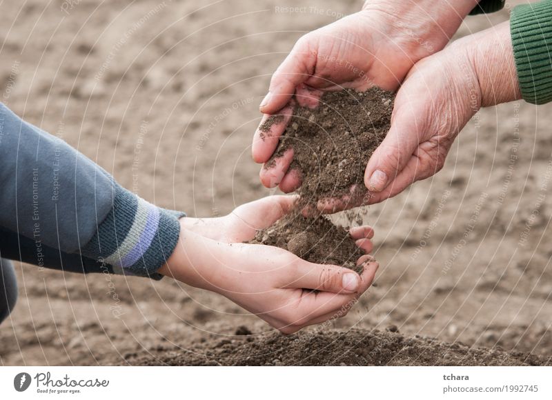 Rette die Natur Leben Garten Kind Gartenarbeit Frau Erwachsene Hand Umwelt Pflanze Erde Wachstum dreckig natürlich braun organisch Ackerbau Boden Kompost