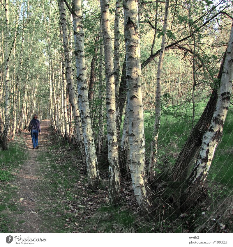 Ortstermin Freizeit & Hobby Ausflug Freiheit Spaziergang wandern Mensch Frau Erwachsene Partner Leben 1 Umwelt Natur Landschaft Pflanze Erde Frühling Klima