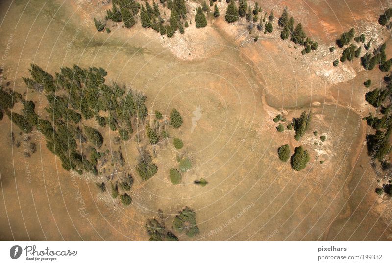 bucklige Welt Freiheit Sommer Berge u. Gebirge Umwelt Natur Landschaft Erde Sand Pflanze Baum Gras Sträucher Moos Grünpflanze Wildpflanze Wald Hügel Felsen