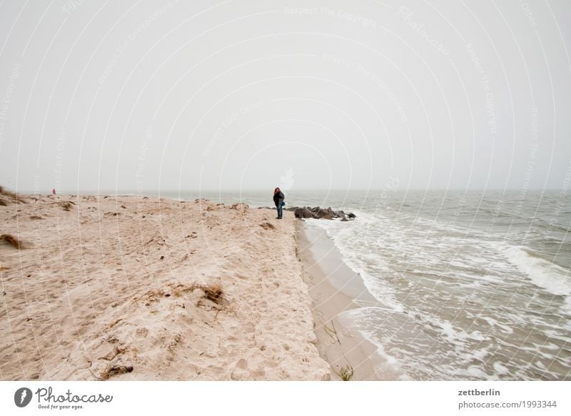 Südperd Ferien & Urlaub & Reisen Ferne Herbst Insel Küste Landschaft Mecklenburg-Vorpommern Menschenleer mönchgut Natur Ostsee Rügen Textfreiraum Nebensaison