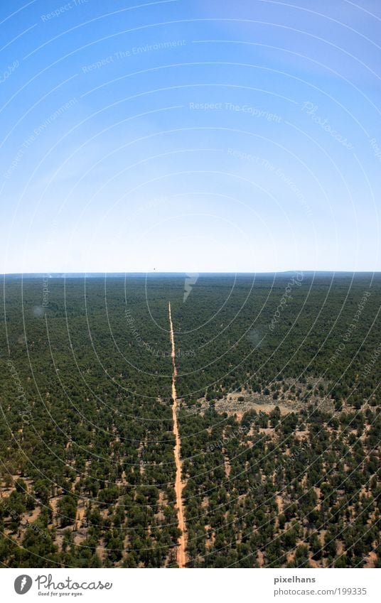 immer der Straße nach Ferne Freiheit Umwelt Natur Landschaft Erde Sand Himmel Wolkenloser Himmel Horizont Wärme Baum Wald Verkehr Verkehrswege Hubschrauber Holz