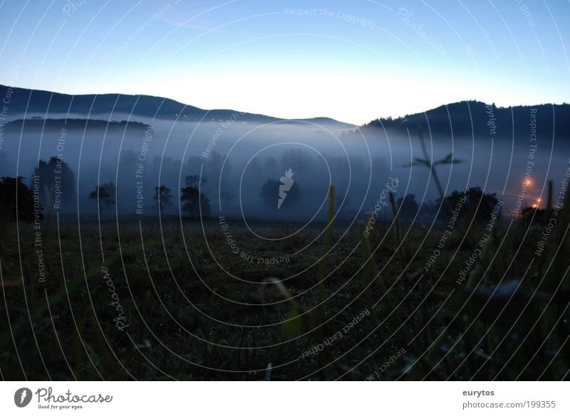 Nebel Ferne Freiheit Sommer Umwelt Natur Landschaft Pflanze Tier Luft Wasser Himmel Wolkenloser Himmel Klima Klimawandel Wetter Schönes Wetter Baum Gras