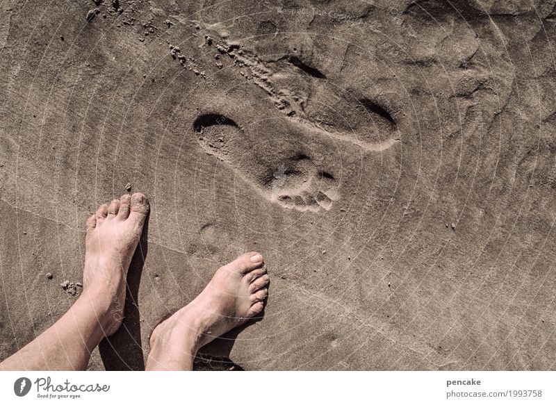 kommen und gehen Sommer Sommerurlaub Strand Meer Fuß Urelemente Sand Schönes Wetter beobachten Bewegung Denken Fitness rennen Blick nackt nass natürlich Freude