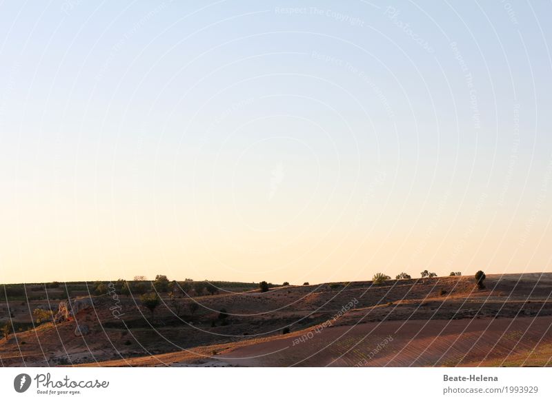 Abendlicht Ferien & Urlaub & Reisen Tourismus Sommerurlaub Sonne Umwelt Natur Landschaft Himmel Wolkenloser Himmel Horizont Wetter Schönes Wetter Pflanze Baum