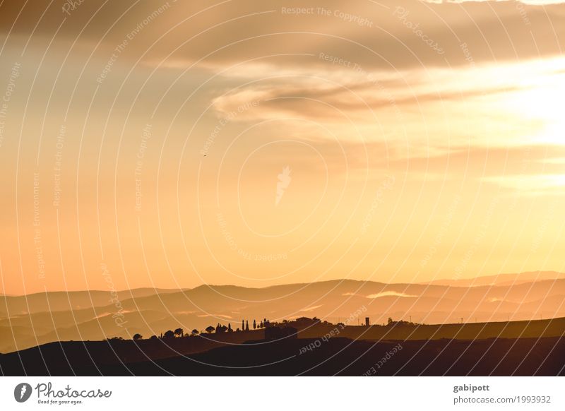 toskanisches Hachland Ferien & Urlaub & Reisen Tourismus Ausflug Abenteuer Ferne Freiheit Umwelt Natur Landschaft Pflanze Urelemente Erde Himmel Sonnenaufgang