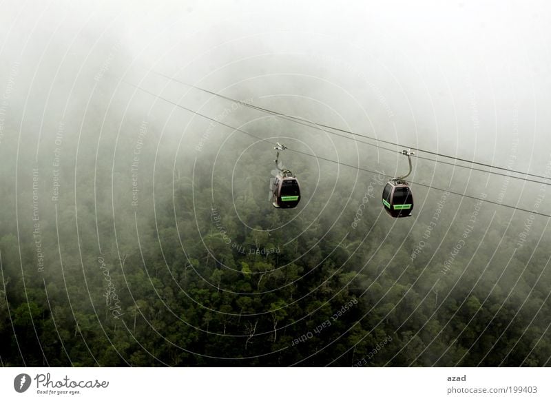 Kabine Ferien & Urlaub & Reisen Tourismus Insel Natur Landschaft Pflanze Nebel Wärme Baum Wald Berge u. Gebirge Seilbahn genießen Farbfoto Außenaufnahme