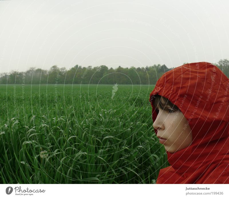 Rotkäppchen im Regen Mensch Kind Junge Kopf 1 8-13 Jahre Kindheit Frühling Herbst schlechtes Wetter Wiese Feld Jacke warten grün rot Einsamkeit Frustration