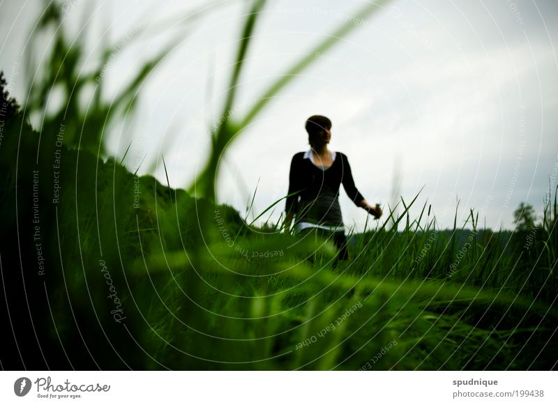 Liegen Mensch feminin Junge Frau Jugendliche Leben 1 18-30 Jahre Erwachsene Natur Landschaft Frühling Gras Wiese grün Farbfoto Außenaufnahme Textfreiraum rechts