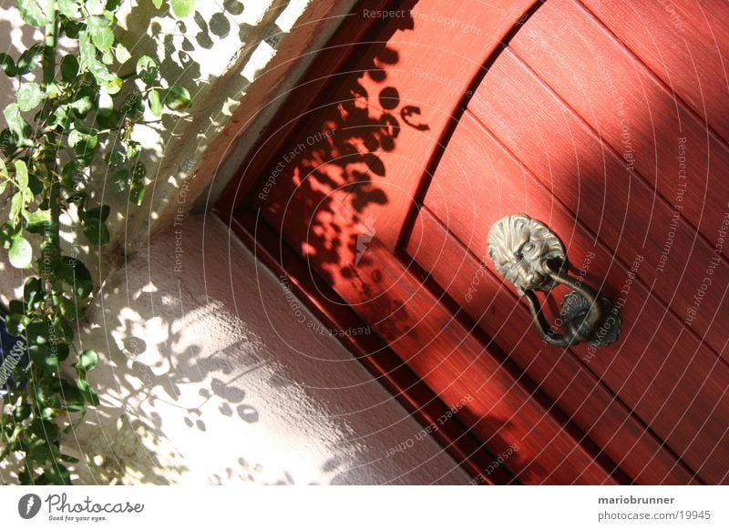 red_door Tür rot Löwe Türklopfer Holz Architektur Schatten Detailaufnahme Menschenleer Außenaufnahme Holztür massiv Ranke Löwenkopf Ecke Türrahmen