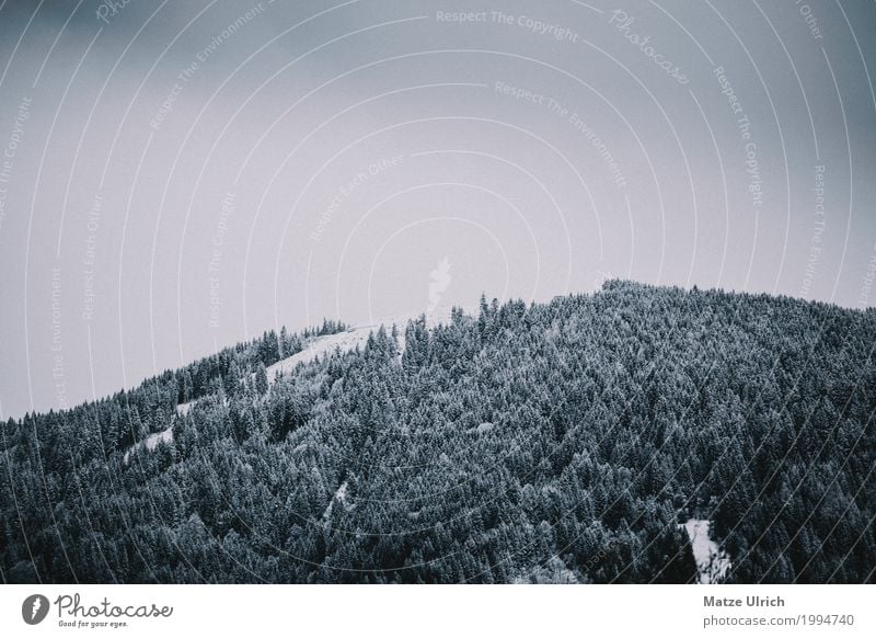 Moody Forest covered in snow Umwelt Natur Landschaft Wolken Winter schlechtes Wetter Schnee Schneefall Wald Hügel Berge u. Gebirge Gipfel Schneebedeckte Gipfel