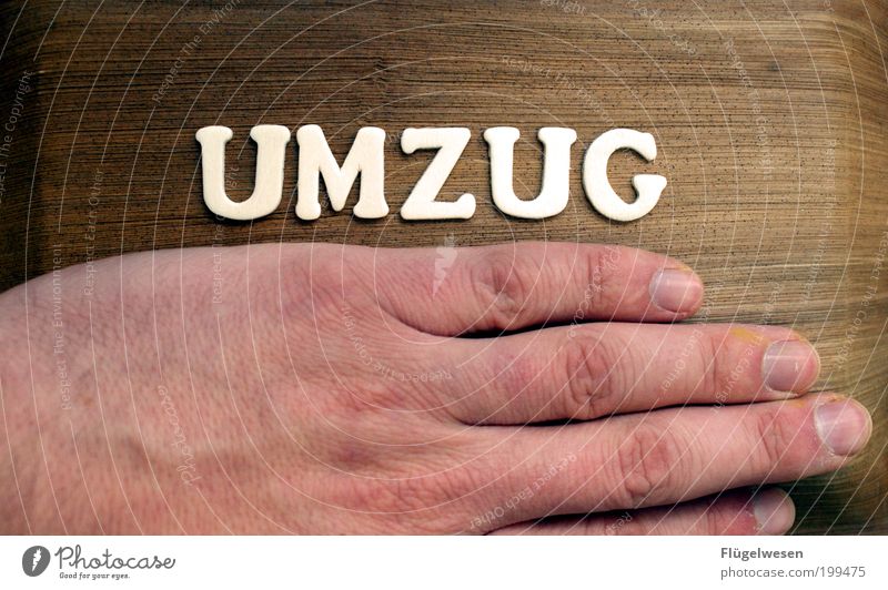 Jeden Morgen aufs neue. Der Große: Häusliches Leben Umzug (Wohnungswechsel) Hand einziehen Ortswechsel Farbfoto Innenaufnahme Symbole & Metaphern Schriftzeichen