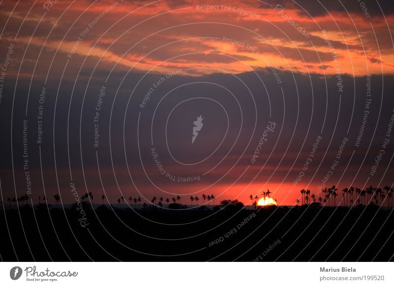 Apokalypse now! Landschaft Sonnenaufgang Sonnenuntergang Schönes Wetter Strand Insel Oase ruhig Sehnsucht Heimweh Fernweh Lebensfreude Ferien & Urlaub & Reisen