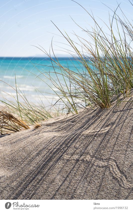 Durchsicht Ferien & Urlaub & Reisen Tourismus Ausflug Ferne Freiheit Sommer Sommerurlaub Sonne Strand Meer Insel Wellen Umwelt Natur Landschaft Urelemente Sand