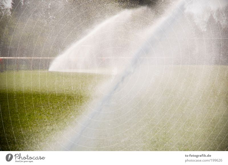 Rasenballett III Sportstätten Fußballplatz Stadion Technik & Technologie Natur Urelemente Wasser Wassertropfen Sommer Wetter Schönes Wetter Wärme Dürre Baum