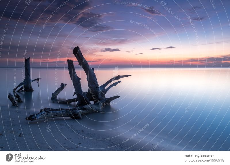 Blaue Stunde am Strand harmonisch Wohlgefühl Zufriedenheit Erholung ruhig Ferien & Urlaub & Reisen Ferne Meer Insel Landschaft Sand Wasser Himmel Horizont