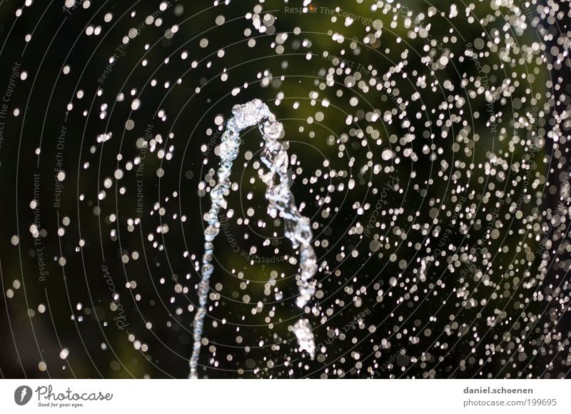 Wasser Wassertropfen Flüssigkeit nass Bewegung Brunnen Trinkwasser Licht Schatten Kontrast Reflexion & Spiegelung Sonnenlicht