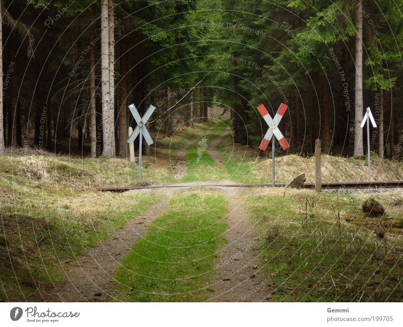 Train Crossing Ferien & Urlaub & Reisen Tourismus Ausflug wandern Umwelt Natur Landschaft Frühling Baum Gras Verkehrswege Bahnfahren Eisenbahn Bahnübergang