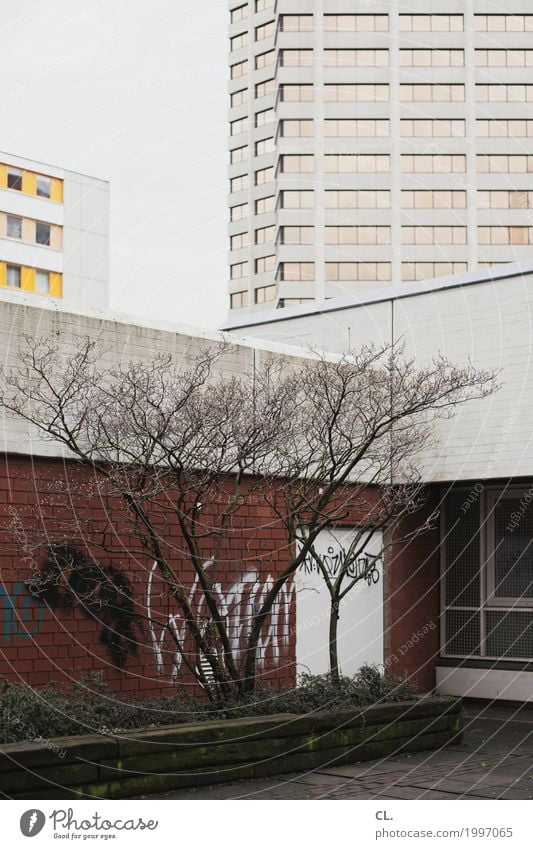 irgendwo in hannover Baum Hannover Stadt Stadtzentrum Hochhaus Platz Gebäude Architektur Mauer Wand Fassade trist komplex Farbfoto Außenaufnahme Menschenleer