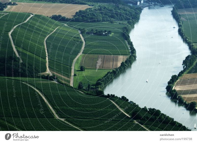 Flusslauf Umwelt Natur Landschaft Wasser Sommer Klima Feld grau grün silber Weinberg Weinbau Neckar schwäbisch geschwungen Lauflinie Wege & Pfade Luftaufnahme