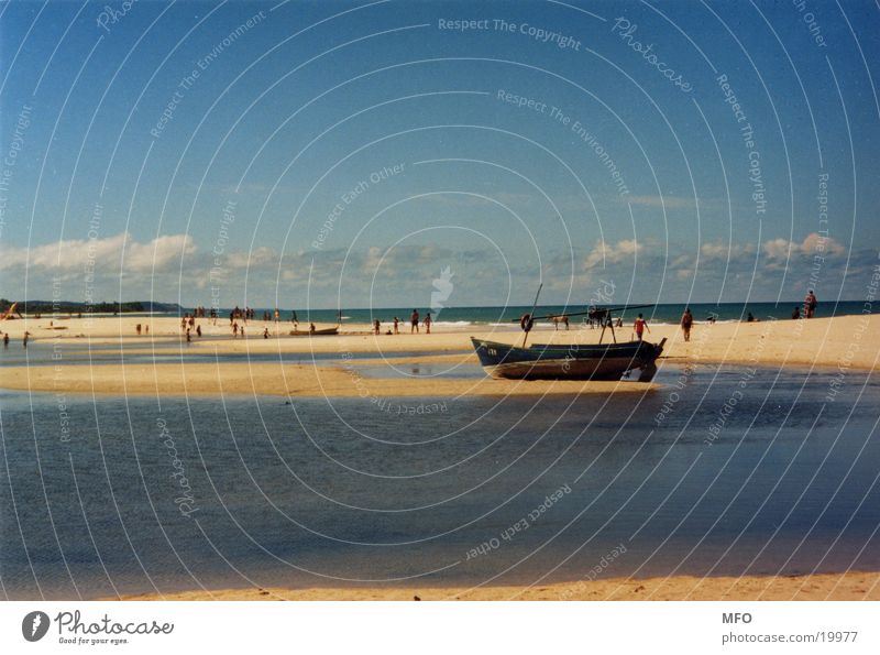 strand von trancoso (brasilien) Strand Meer Brasilien Südamerika Sonne Wind