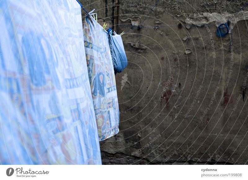 [HAL] Luftgetrocknet Lifestyle Stil Mauer Wand Bewegung Leben Leichtigkeit Nostalgie Bettwäsche lufttrocknen Hinterhof Wäsche Wäscheleine Wäscheklammern