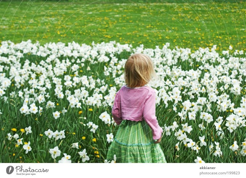 Und wo ist jetzt der Osterhase? Mensch Kind Mädchen Kindheit Rücken Arme Umwelt Natur Landschaft Pflanze Frühling Klima Wetter Schönes Wetter Wärme Blume Blüte