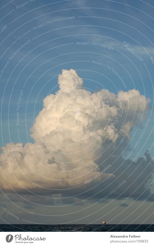 Winde wehn, Schiffe gehn... Wetter ästhetisch Wolken Wolkenhimmel Meer Wasser Wasserfahrzeug Schifffahrt Frachter Nordsee Wolkenberg Außenaufnahme Menschenleer