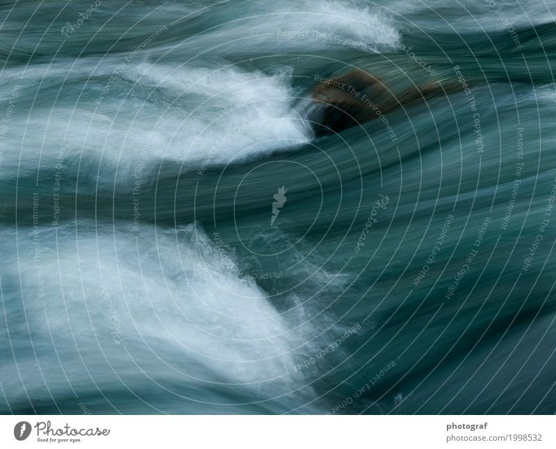 Fluss,Wasser Leben sprechen Kunst Umwelt Natur Landschaft Pflanze Tier Luft Herbst Baum Wald See Bach Wasserfall Käfer Fisch Muschel Holz Wachstum erde boden