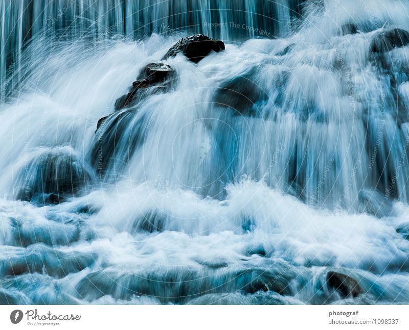 Fluss,Wasserfall,Wasser Leben sprechen Kunst Umwelt Natur Landschaft Pflanze Tier Luft Herbst Baum Wald See Bach Käfer Fisch Muschel Holz Wachstum erde boden