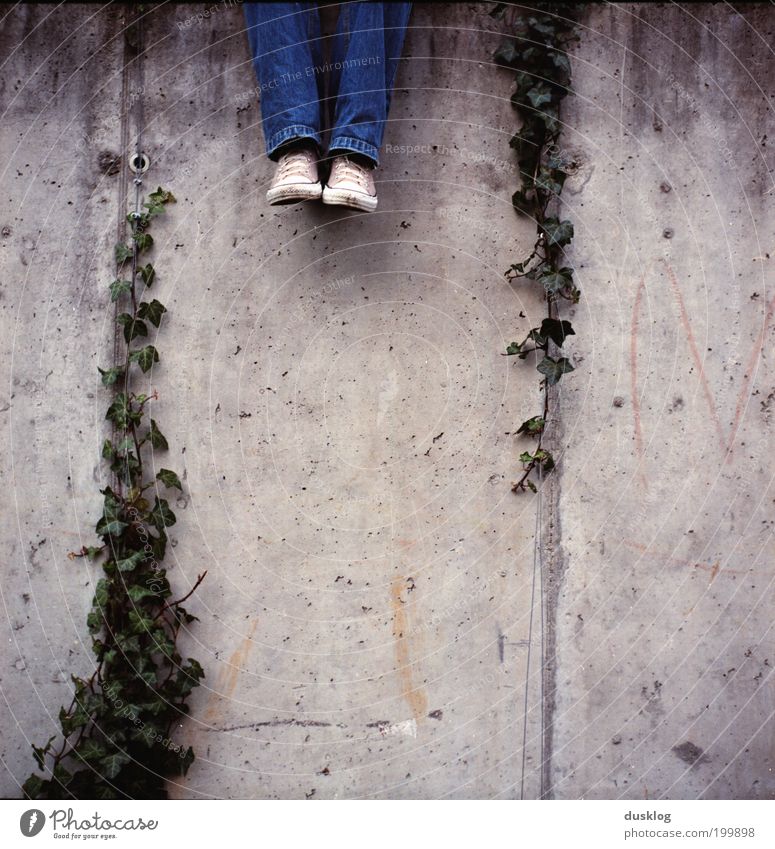 sitting, waiting, wishing Mensch Jugendliche Beine Fuß 1 Pflanze Efeu Park Mauer Wand Hose Jeanshose Turnschuh entdecken Erholung genießen sitzen warten alt