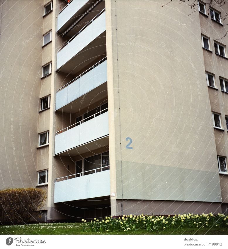 2 Pflanze Wiese Hecke Stadt überbevölkert Haus Hochhaus Gebäude Fassade Balkon Fenster Häusliches Leben eckig fest gigantisch groß hässlich grau grün gleich