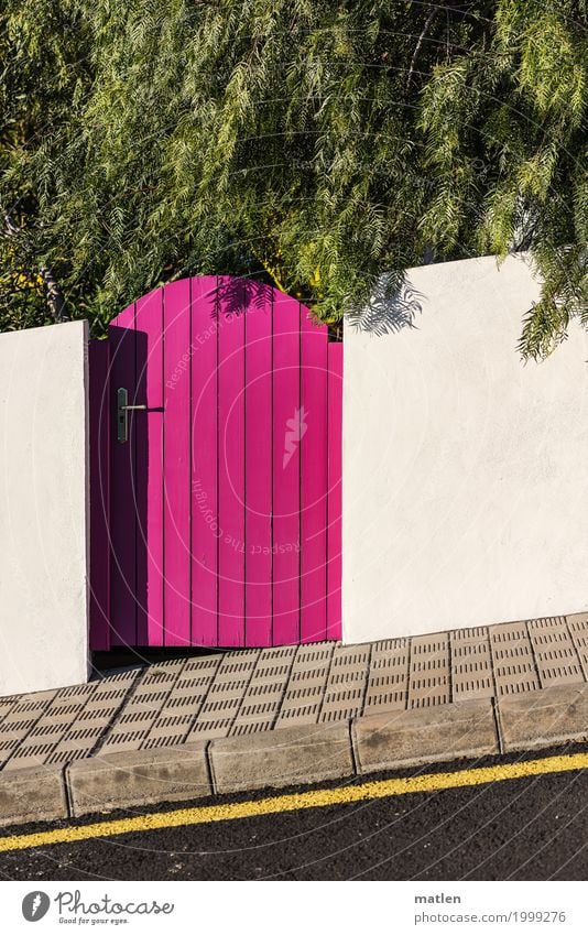 steil Kleinstadt Haus Mauer Wand Tür Straße frisch gelb grün rosa schwarz weiß Gartentür Griff Traverse Fahrbahn Fahrbahnmarkierung Baum Farbfoto mehrfarbig