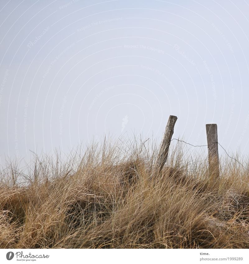 Spannung|sabfall Ferien & Urlaub & Reisen Zaun Zaunpfahl nur Himmel Nutzpflanze Küste Stranddüne Dünengras Naturschutzgebiet Holz Metall Schilder & Markierungen