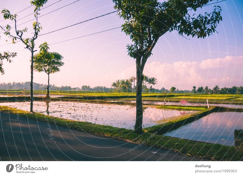 poollandschaft. Ferien & Urlaub & Reisen Tourismus Ausflug Abenteuer Ferne Freiheit Sightseeing Sommerurlaub Landschaft Frühling Schönes Wetter Feld Urwald