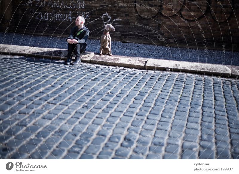 [HAL] JA-Sager Mensch Mann Erwachsene Stadt Mauer Wand Straße Wege & Pfade Hund Graffiti Partnerschaft Freiheit Freundschaft Gesellschaft (Soziologie)