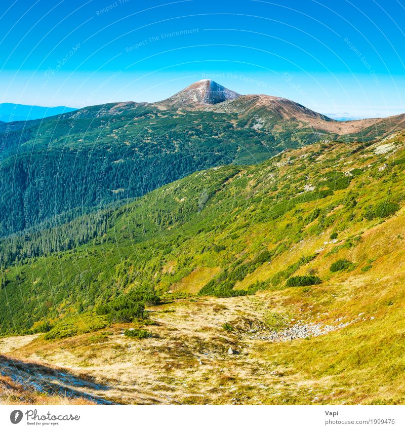 Spitze des Berges im grünen Tal Ferien & Urlaub & Reisen Tourismus Abenteuer Sommer Berge u. Gebirge Natur Landschaft Pflanze Himmel Wolkenloser Himmel Horizont