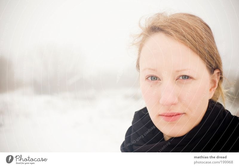 SCHNEEKÖNIGEN elegant Stil schön Haare & Frisuren Gesicht Mensch feminin Junge Frau Jugendliche 1 18-30 Jahre Erwachsene Schal beobachten Denken Blick