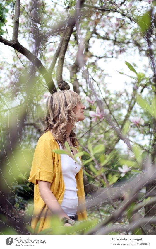 Magnolia Ausflug Freiheit feminin Junge Frau Jugendliche 1 Mensch Umwelt Natur Frühling Schönes Wetter Pflanze Baum Blatt Blüte Park blond Locken beobachten