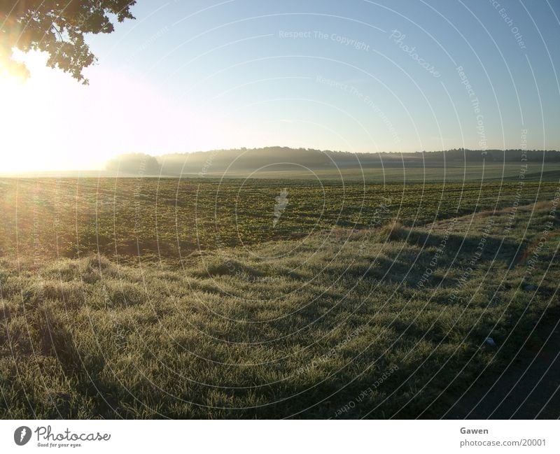 Morgennebel Nebel Sonnenaufgang Licht Feld Ferne Seil Natur