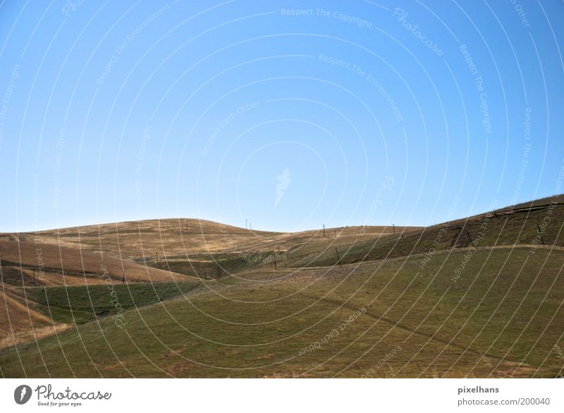 Rundungen Ferien & Urlaub & Reisen Ferne Sommer Umwelt Natur Landschaft Erde Himmel Wolkenloser Himmel Horizont Schönes Wetter Wärme Pflanze Gras Wiese Hügel