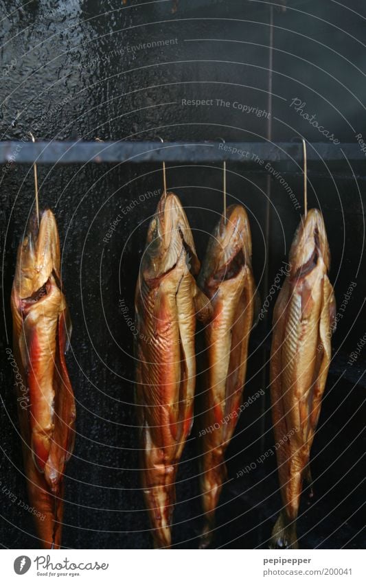 ausgenommen schmackhaft Lebensmittel Fisch Ernährung Totes Tier 4 lecker saftig braun gold Fischmarkt Farbfoto Außenaufnahme Nahaufnahme Detailaufnahme