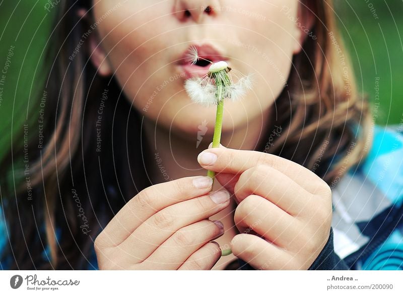 Pusteblume Sommer feminin Frau Erwachsene Gesicht 1 Mensch Pflanze Blüte Blühend Löwenzahn blasen Lippen Hand Finger Nikon D80 Schwerelosigkeit leicht luftig