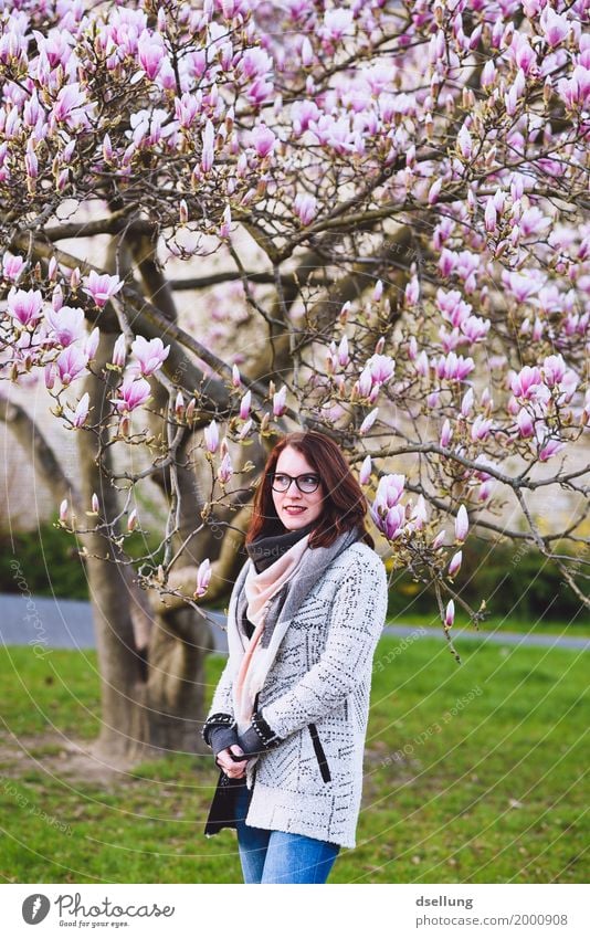 blütentraum. Lifestyle elegant Stil Mensch feminin Junge Frau Jugendliche 1 18-30 Jahre Erwachsene Umwelt Pflanze Frühling Schönes Wetter Baum Magnolienbaum