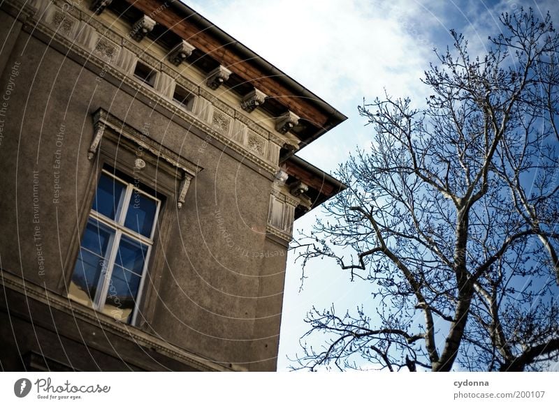 [HAL] Altbau Lifestyle elegant Design Wohlgefühl Häusliches Leben Himmel Baum Altstadt Haus Architektur Mauer Wand Fassade Fenster ästhetisch einzigartig